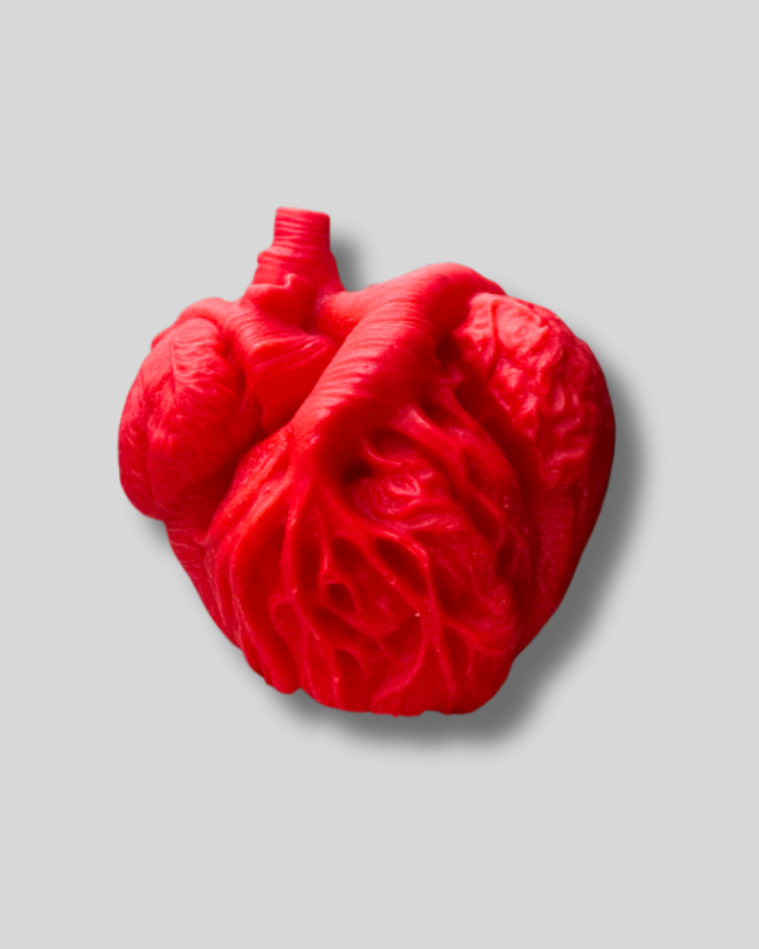 Anatomical Heart Candle
